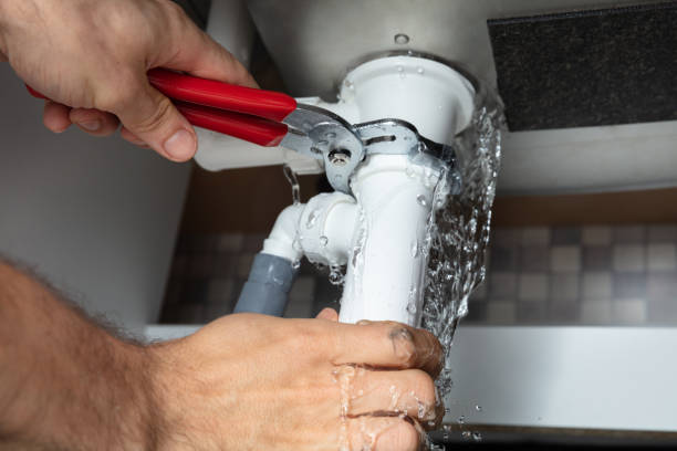 Water damage restoration mold remediation in Pocono Ranch Lands, PA