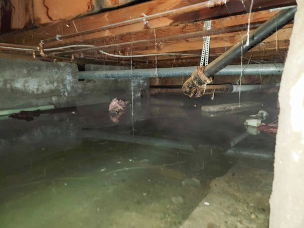  Pocono Ranch Lands, PA Water damage restoration Pros