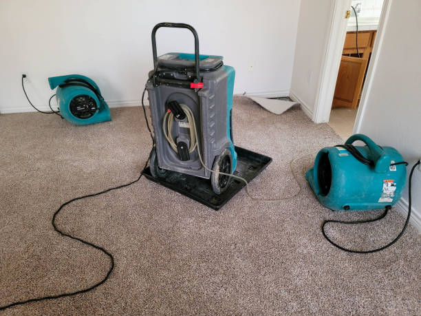 Best Fire Damage Restoration  in Pocono Ranch Lands, PA