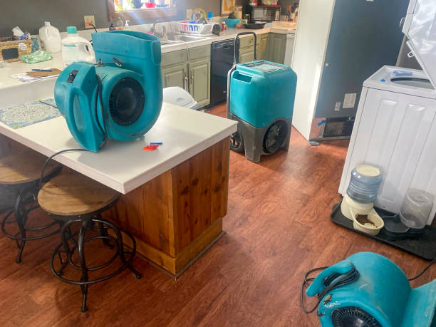 Best Water damage restoration near me  in Pocono Ranch Lands, PA