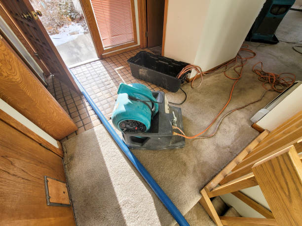 Best Mold removal after water damage  in Pocono Ranch Lands, PA