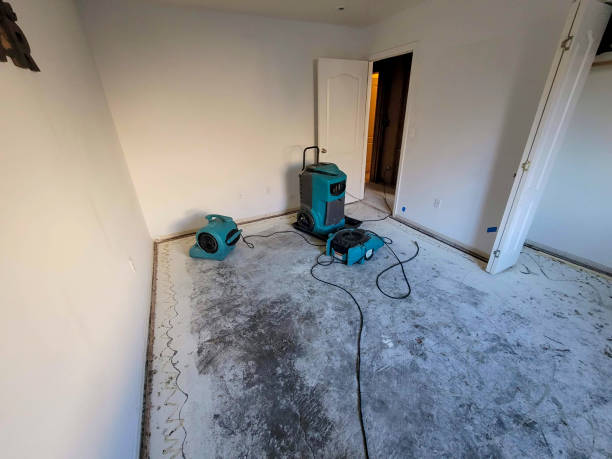 Best Water damage restoration near me  in Pocono Ranch Lands, PA