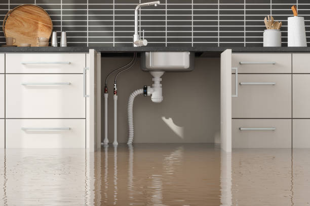 Reliable Pocono Ranch Lands, PA Water damage restoration Solutions