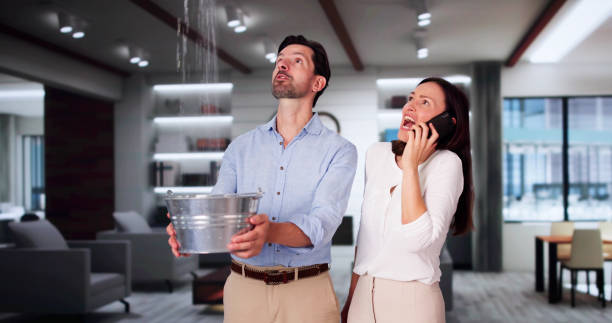 Best 24-hour water damage restoration  in Pocono Ranch Lands, PA