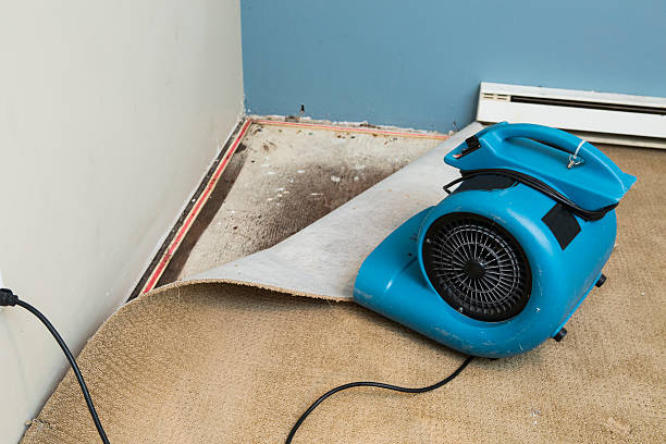 Best Mold removal after water damage  in Pocono Ranch Lands, PA